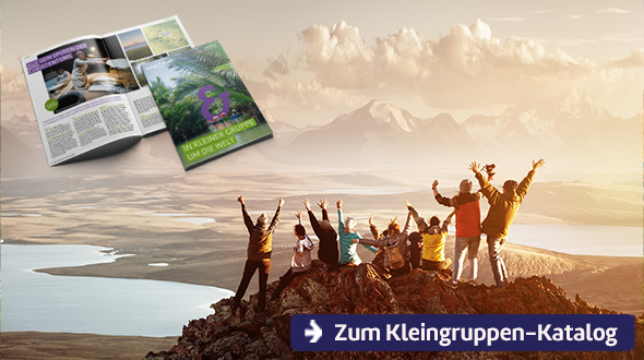 Zum Kleingruppen-Katalog.