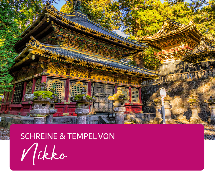 Schreine und Tempel von Nikko.