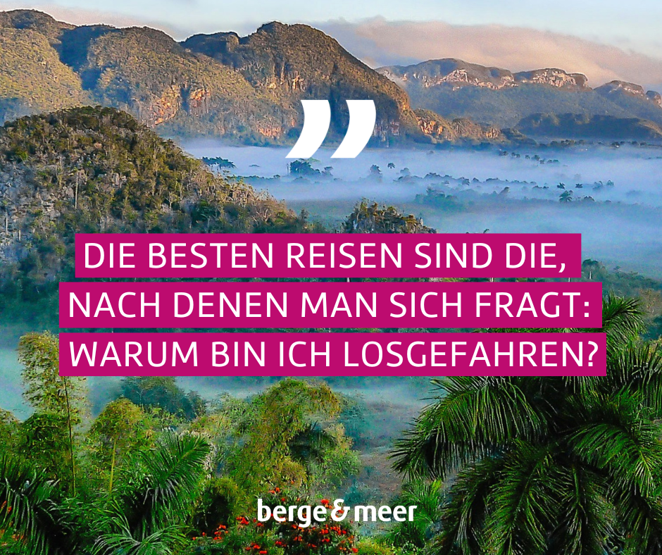 Dschungel liegt im Nebel. Text auf rosa Hintergrund: Die besten Reisen sind die, nach denen man sich fragt: Warum bin ich losgefahren?