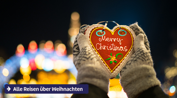 Alle Reisen über Weihnachten
