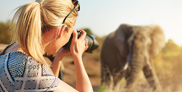 Frau, die einen Elefanten fotografiert.