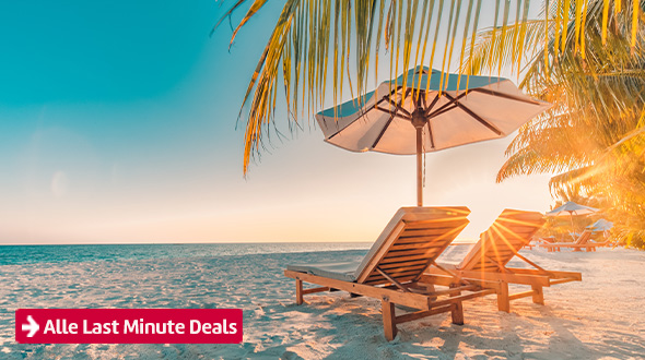 Last Minute Deals