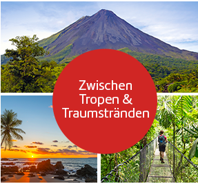 Zwischen Tropen & Traumstränden.