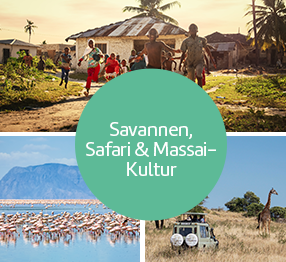 Savannen, Safari & Massai-Kultur.
