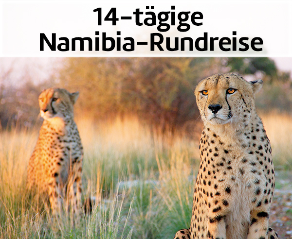14-tägige Namibia-Rundreise.