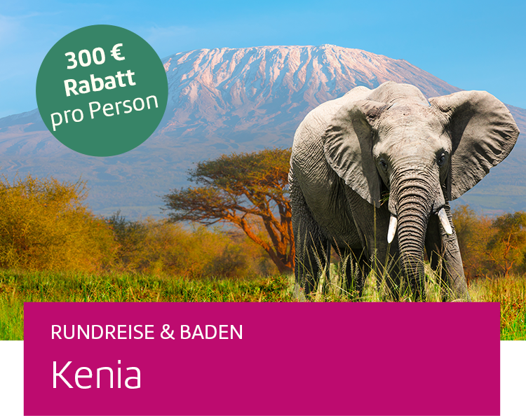 Elefant im Amboseli Nationalpark