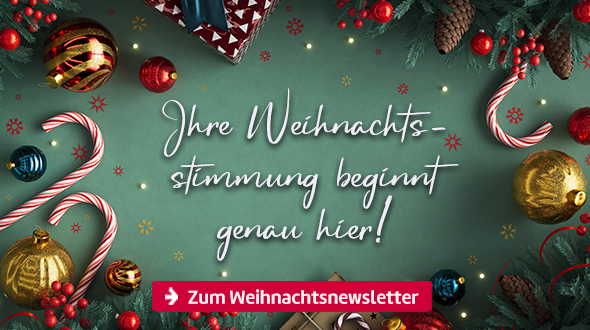 Zu unserem Weihnachtsnewsletter.
