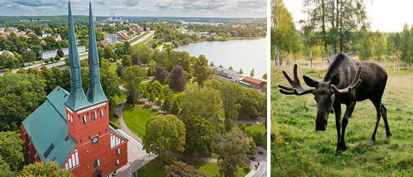 Bild-Collage: Stadt Växjö in Schweden und Elch im Wald.