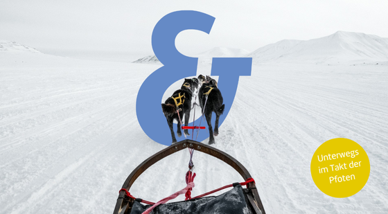Neues vom Entdecker-Blog: Hundeschlitten