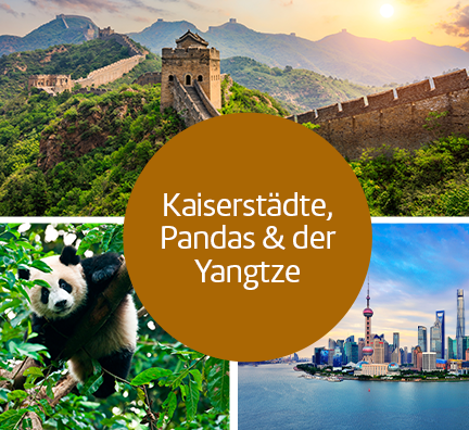 Bild-Collage: Große Mauer, Panda im Baum und Skyline von Shanghai. Störer: Kaiserstädte, Pandas & der Yangtze.