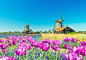 Niederlande mit DCS Amethyst Classic